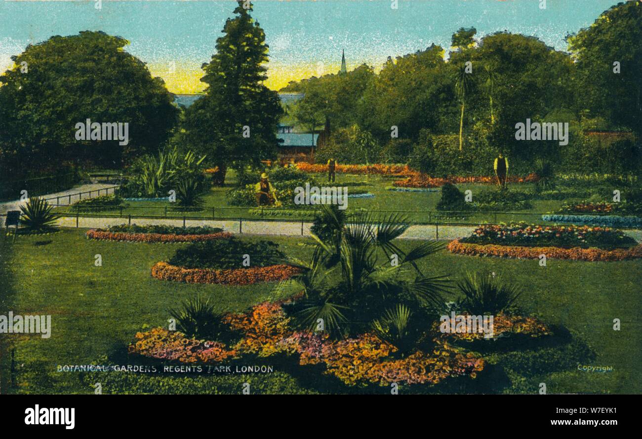 'Les Jardins Botaniques, Regents Park, Londres', c1910. Artiste : Inconnu. Banque D'Images