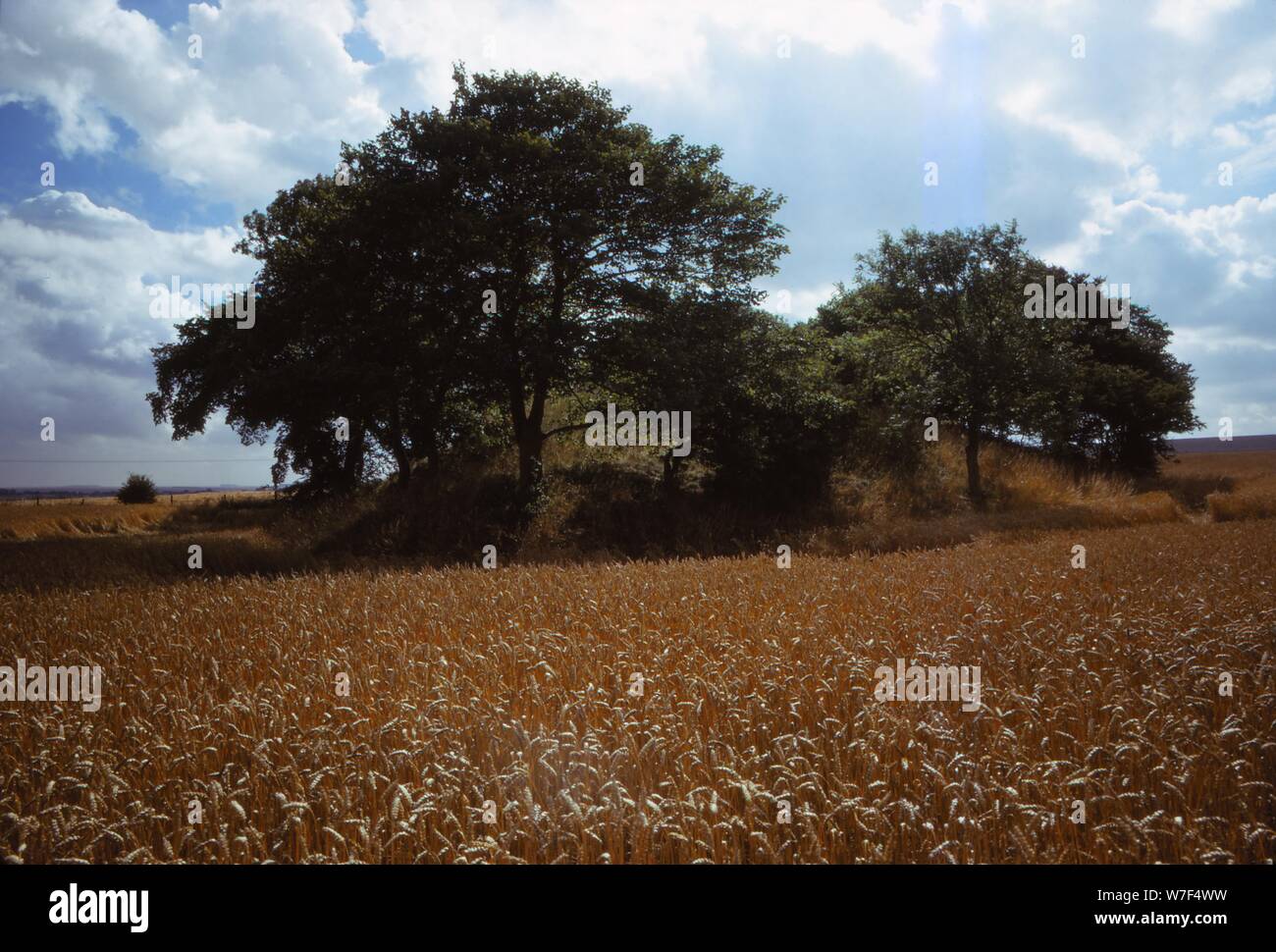 Willy Howe, East Riding of Yorkshire, Angleterre, 20e siècle. Artiste : CM Dixon. Banque D'Images