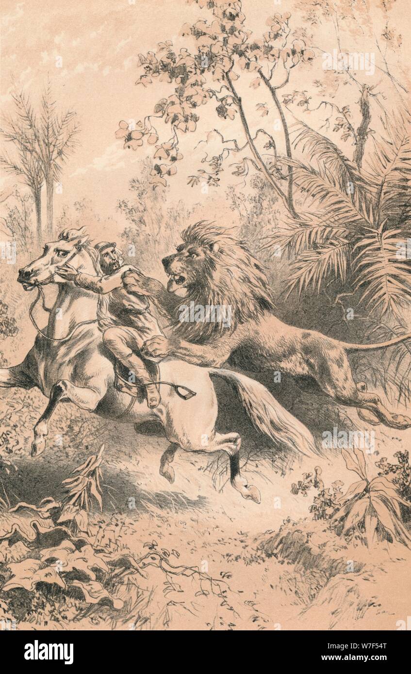'African Voyageur attaqué par un Lion', c1880. Artiste : Inconnu. Banque D'Images