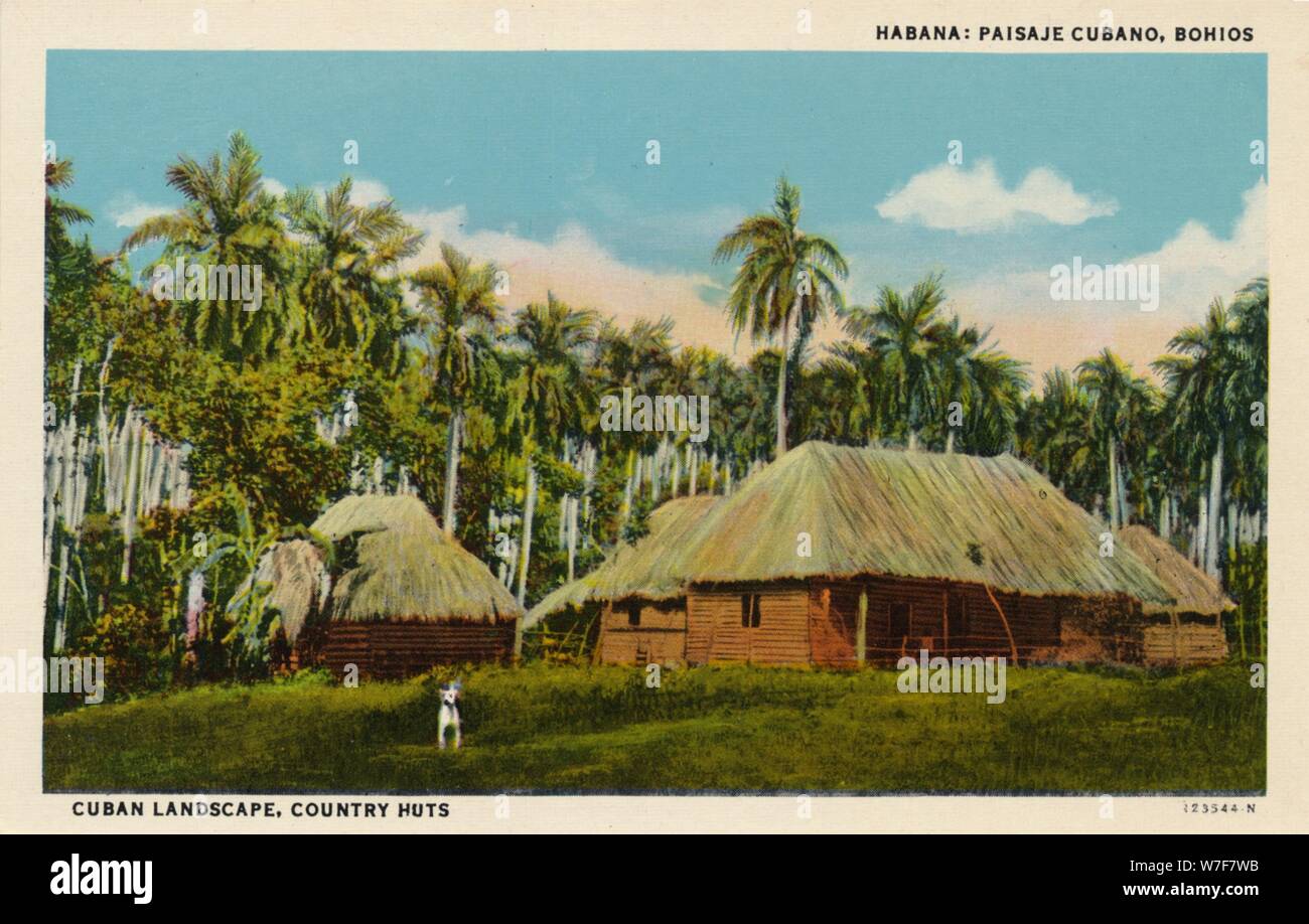 'Habana : Paisaje Cubano, Bohios. Paysage cubain, des cabanes pays, c1910. Artiste : Inconnu. Banque D'Images