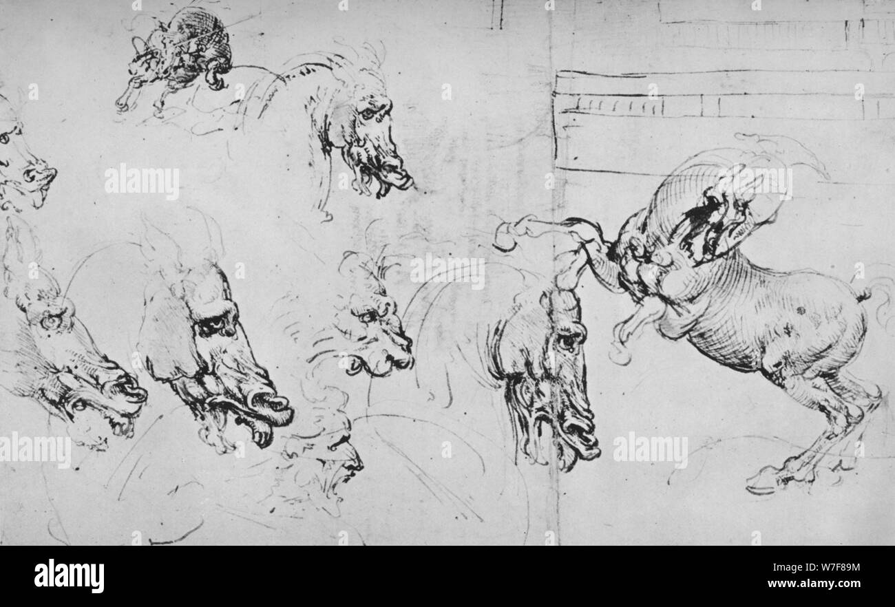 "Etudes de têtes des chevaux et d'un cheval d'élevage", c1480 (1945). Artiste : Leonardo da Vinci. Banque D'Images