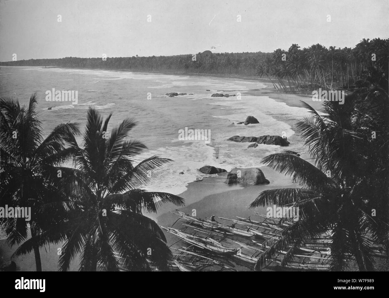 'Vue depuis le Mont Lavinia, montrant Coco Palms le long de mer', c1890, (1910). Artiste : Alfred William Amandus Plaque. Banque D'Images