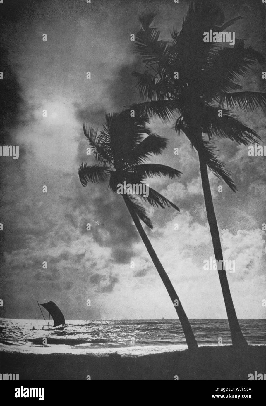 'La côte bordée de cocotiers au coucher du Soleil', c1890, (1910). Artiste : Alfred William Amandus Plaque. Banque D'Images