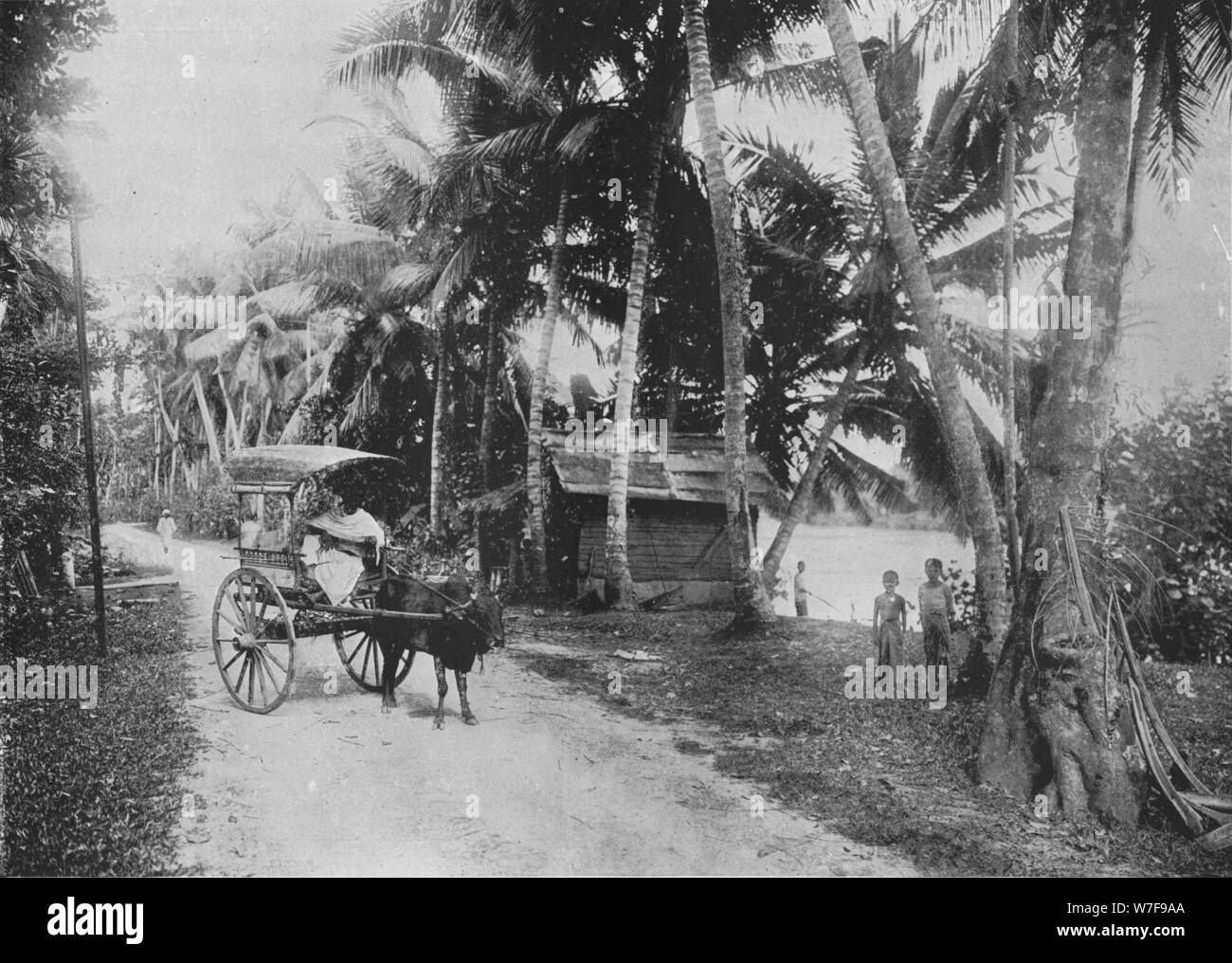 'À côté de la rivière Kelaniya', c1890, (1910). Artiste : Alfred William Amandus Plaque. Banque D'Images