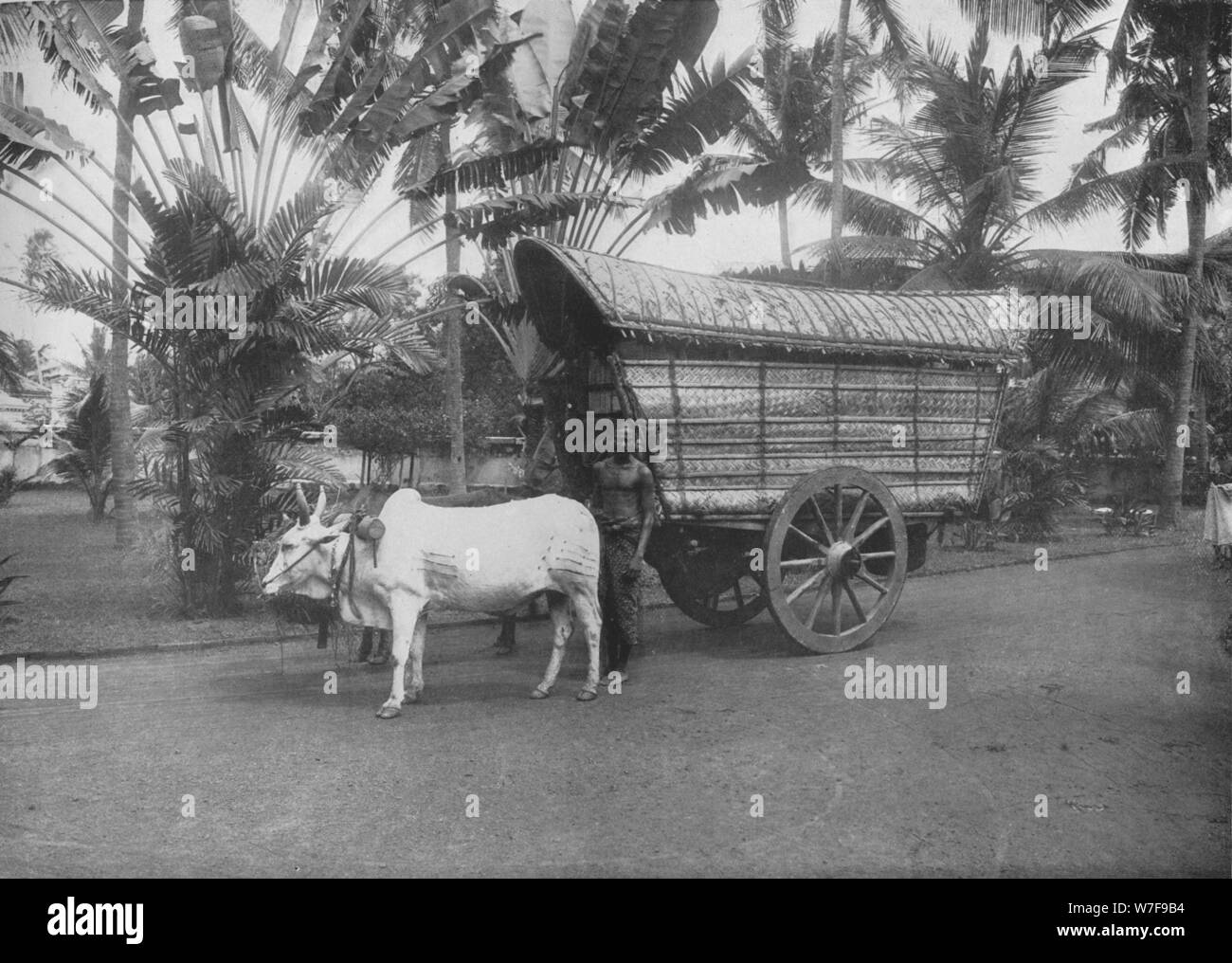 'Une charrette de Ceylan', c1890, (1910). Artiste : Alfred William Amandus Plaque. Banque D'Images