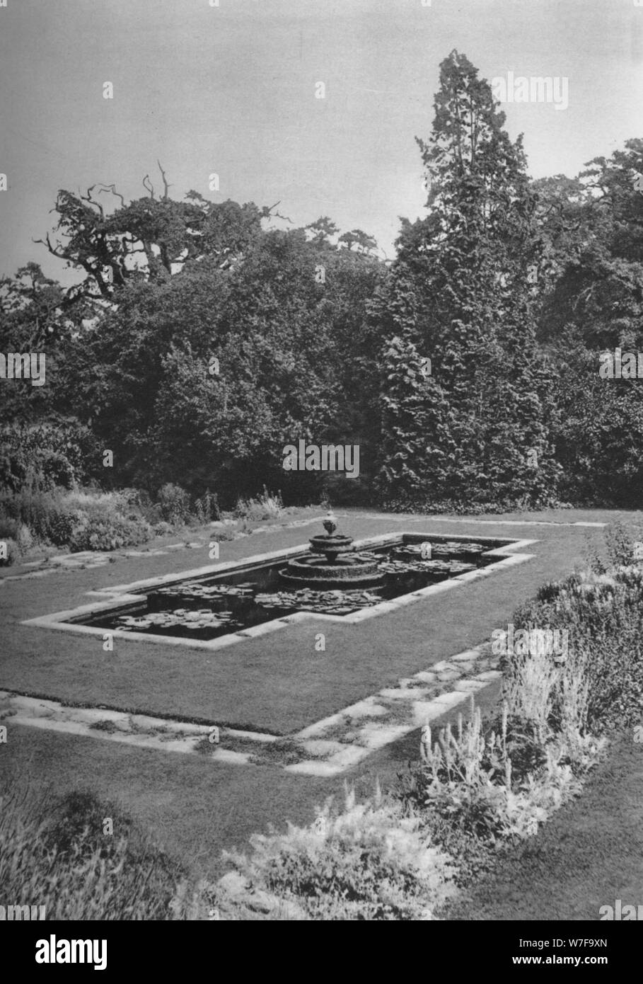 "Le bassin de Lily, la White Lodge, Richmond', 1926. Artiste : Inconnu. Banque D'Images
