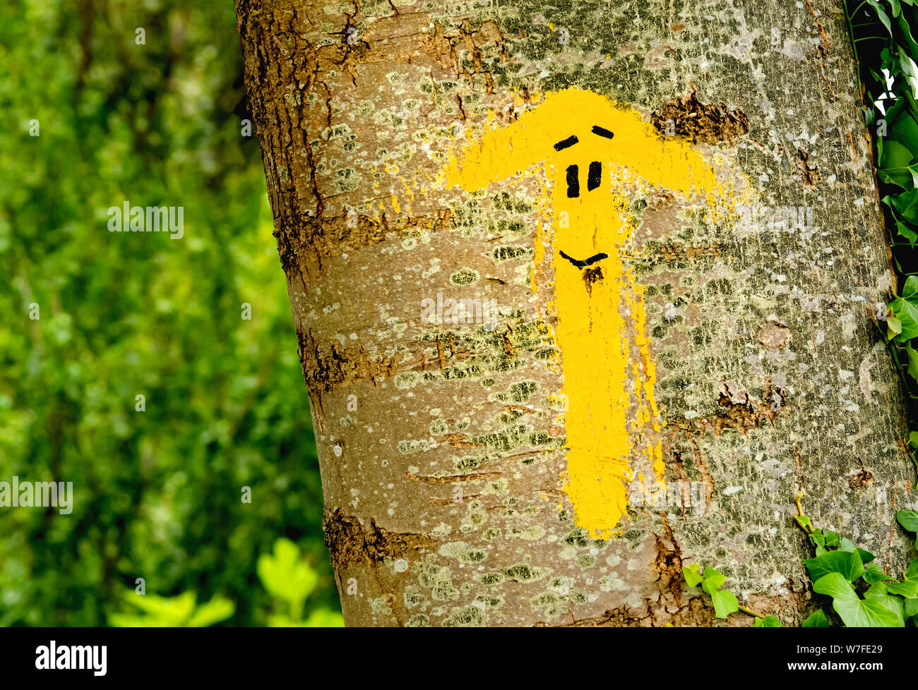 Flèche jaune traditionnel peint sur le chemin. Direction des pèlerins à Saint James way, Camino de Santiago de Compostela, Espagne Banque D'Images