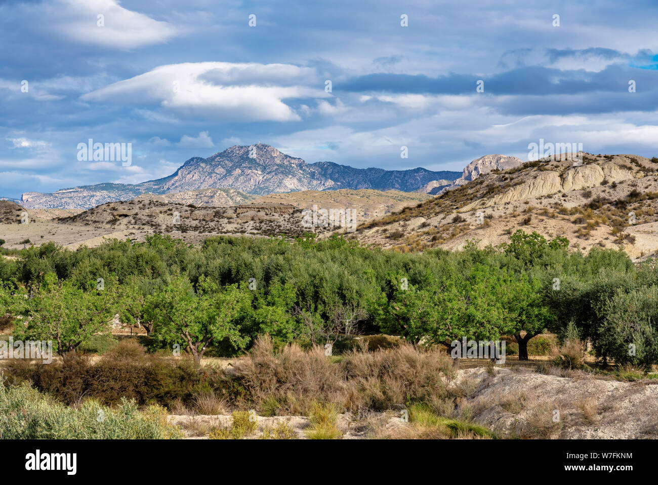 Les BADLANDS de Abanilla et Mahoya près de Murcia en Espagne Banque D'Images