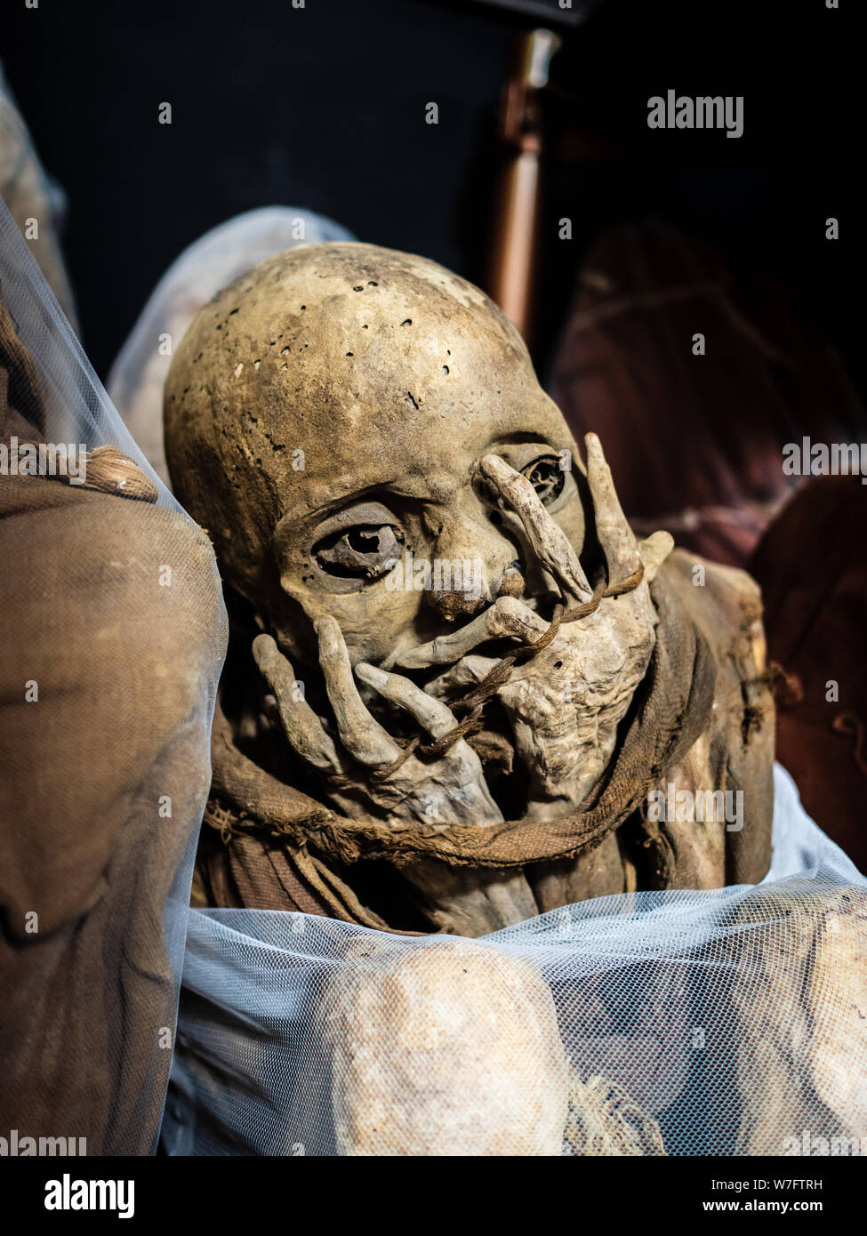 Les célèbres momies qui ont été trouvés à tombes près de Laguna de los Condores (lac des Condors) et peut maintenant être vu à Leymebamba museum. Banque D'Images