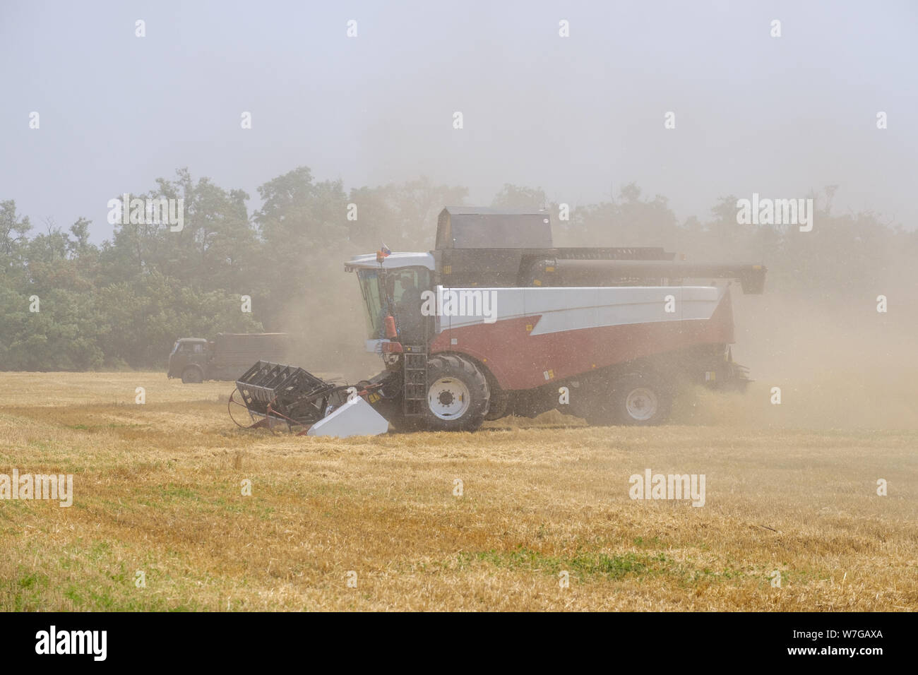 Dans les clubs de la poussière à l'oeuvre sur la récolte du blé sur un grand champ à l'été. Les gens et la technologie travail à la limite dans les climats chauds, secs. E Banque D'Images