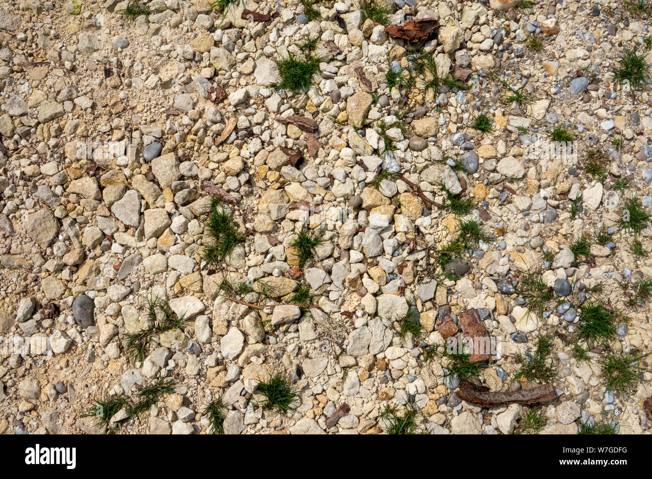 Un mélange pâle hardcore road surface avec de petites touffes d'herbe qui poussent à travers vu de dessus Banque D'Images