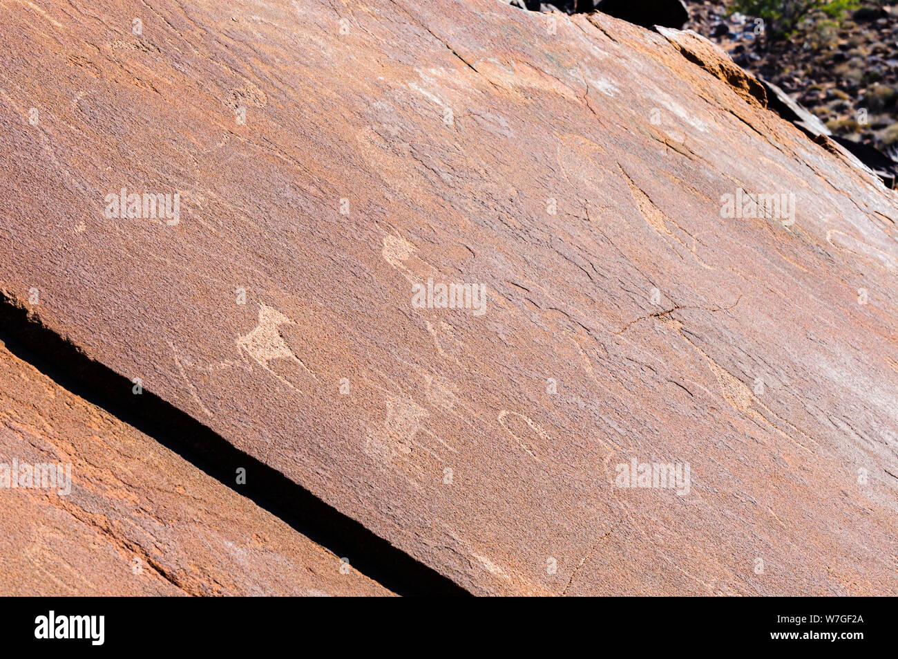 6000 ans de gravures rupestres d'animaux à Twyfelfontein, Namibie Banque D'Images