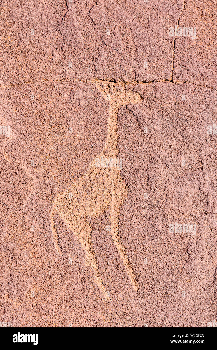 6000 ans de gravures rupestres d'animaux à Twyfelfontein, Namibie Banque D'Images