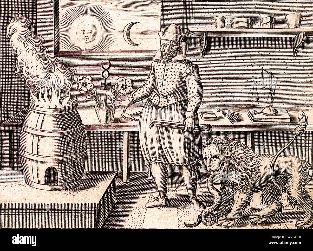 Viridarium chymicum figuris cupro incisis adornatum, et poeticis picturis illustratum par Daaniel Stolcius de Stolcenberg - 1624 Banque D'Images