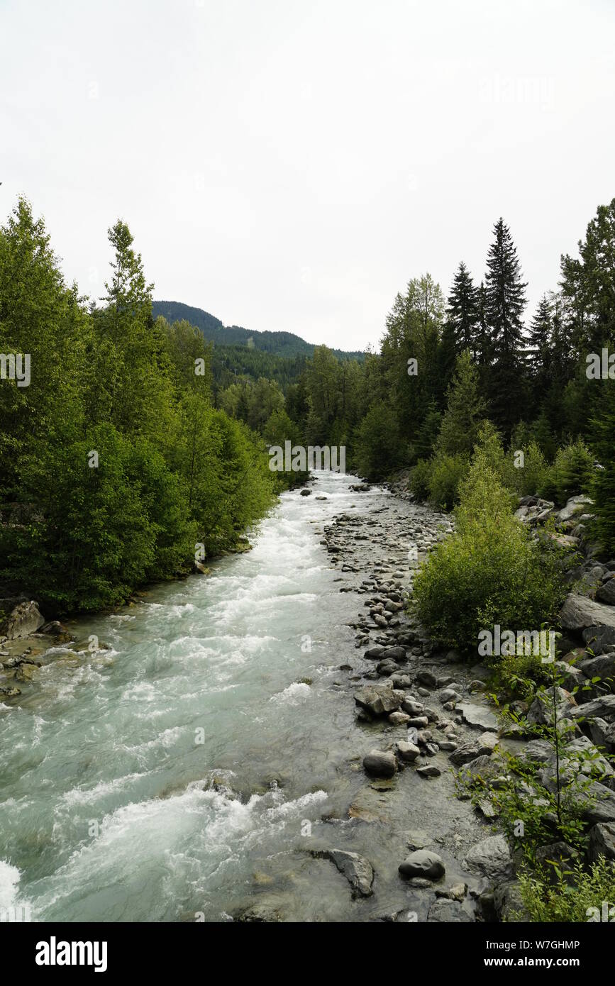 Rivière déchaînée dans les Rocheuses Banque D'Images