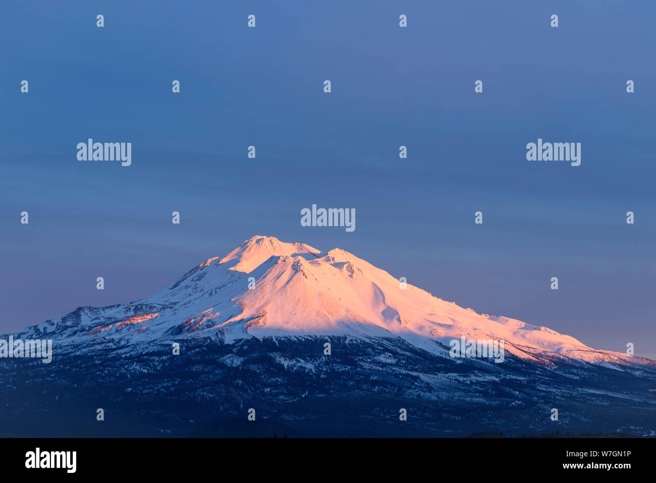 Mont Shasta avec alpine glow ; le nord de la Californie. Banque D'Images