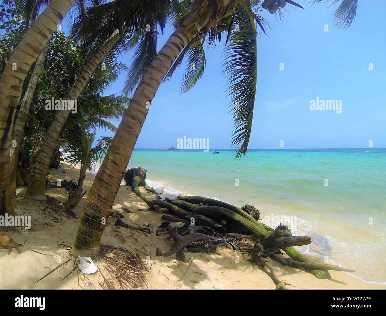 La plage tropicale de l'île peu de maïs dans les îles Corn au Nicaragua. La côte des Caraïbes. Banque D'Images