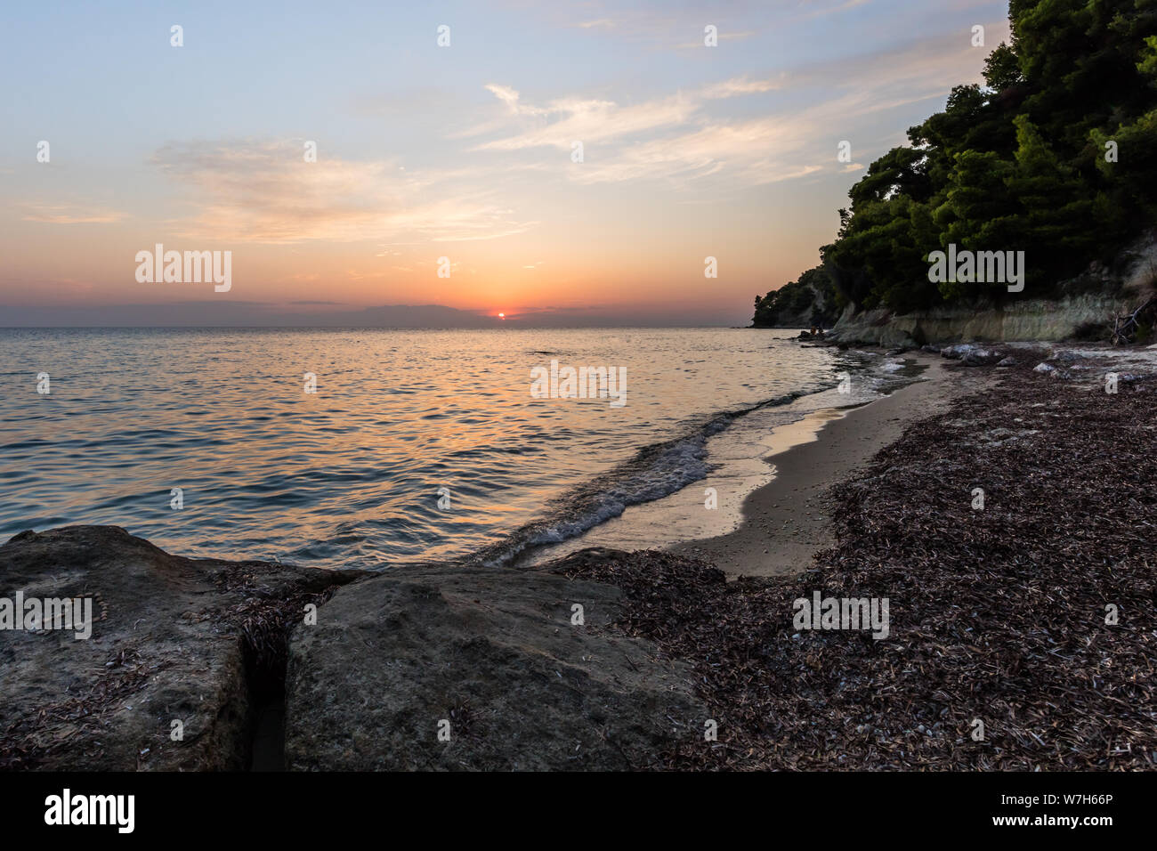 Plage sauvage dans la péninsule de Kassandra. Halkidiki, Grèce Banque D'Images