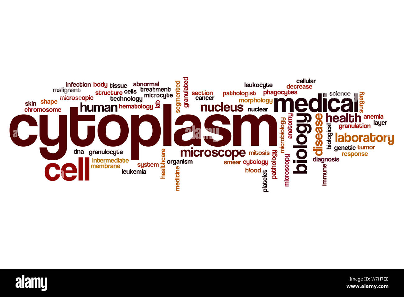 Cytoplasme mot concept cloud Banque D'Images