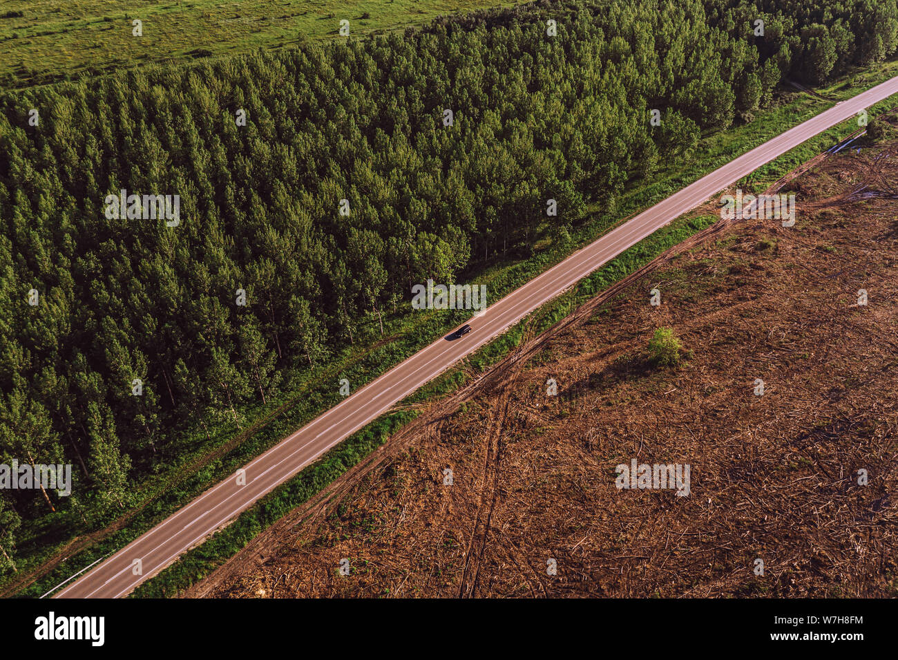 Vue aérienne de route entre la forêt de peupliers et de zone déboisée pov bourdon en été susnet Banque D'Images