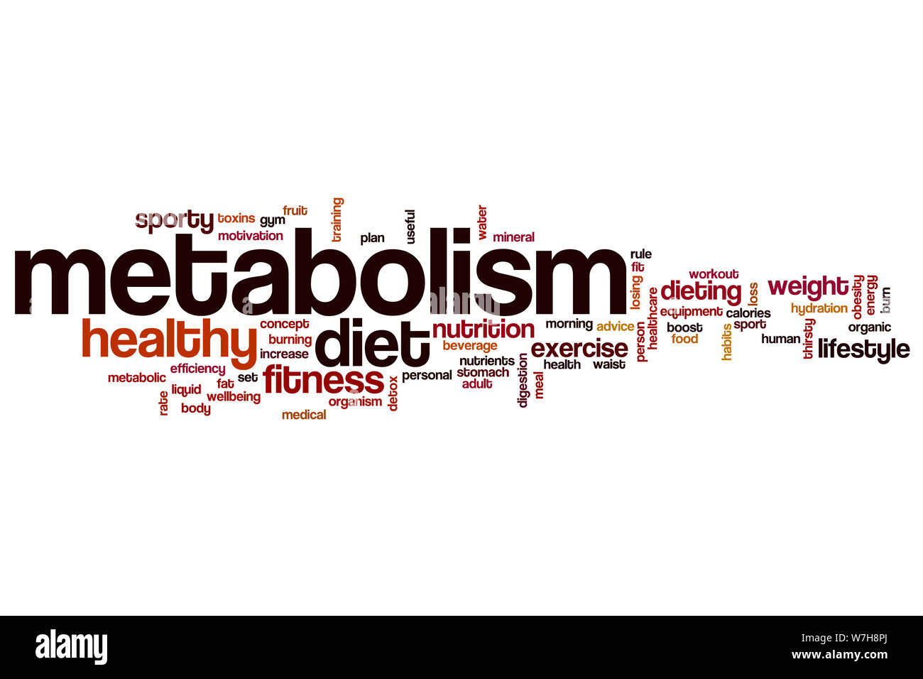 Mot métabolisme concept cloud Banque D'Images