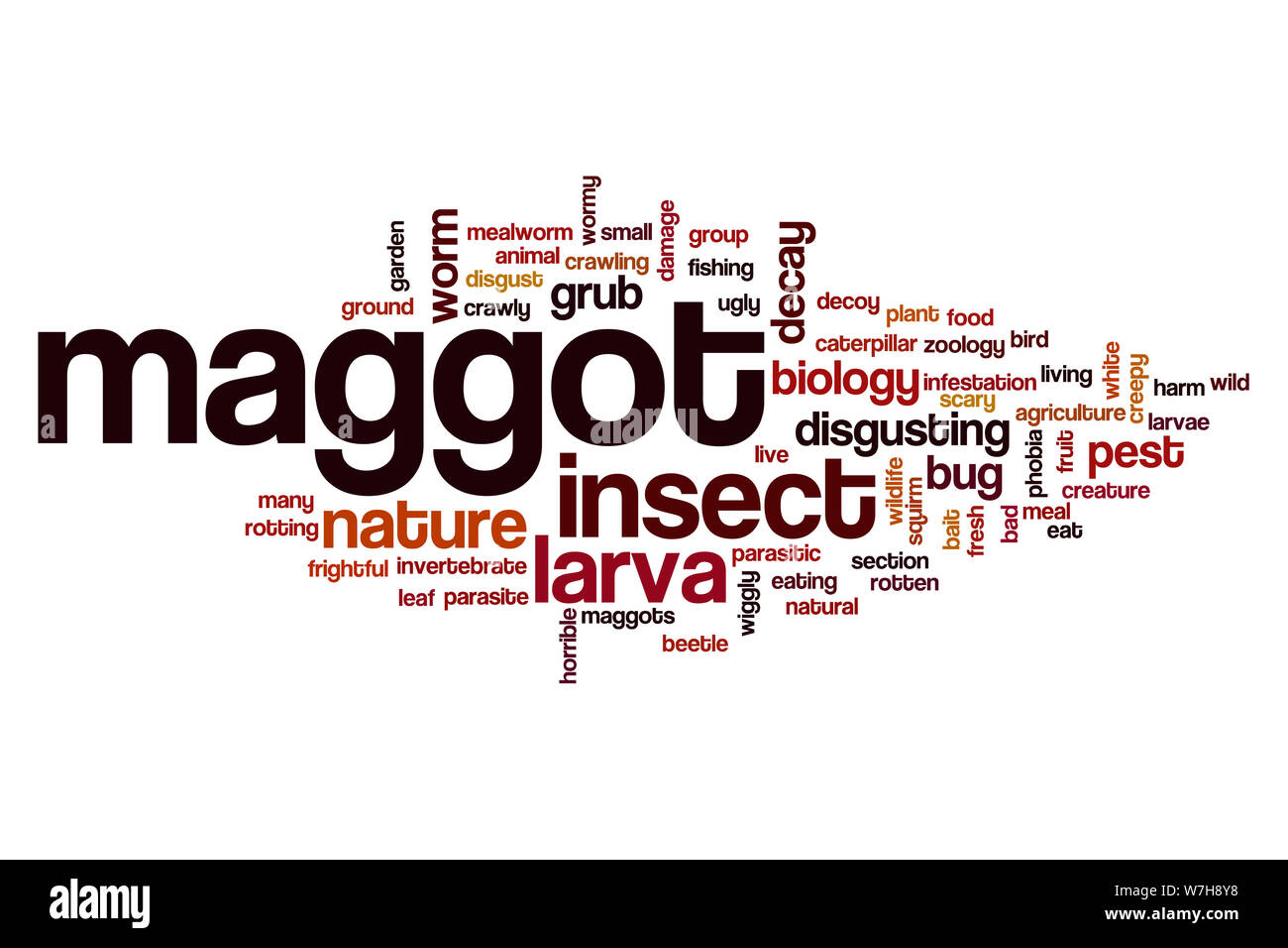 Mot mouche concept cloud Banque D'Images