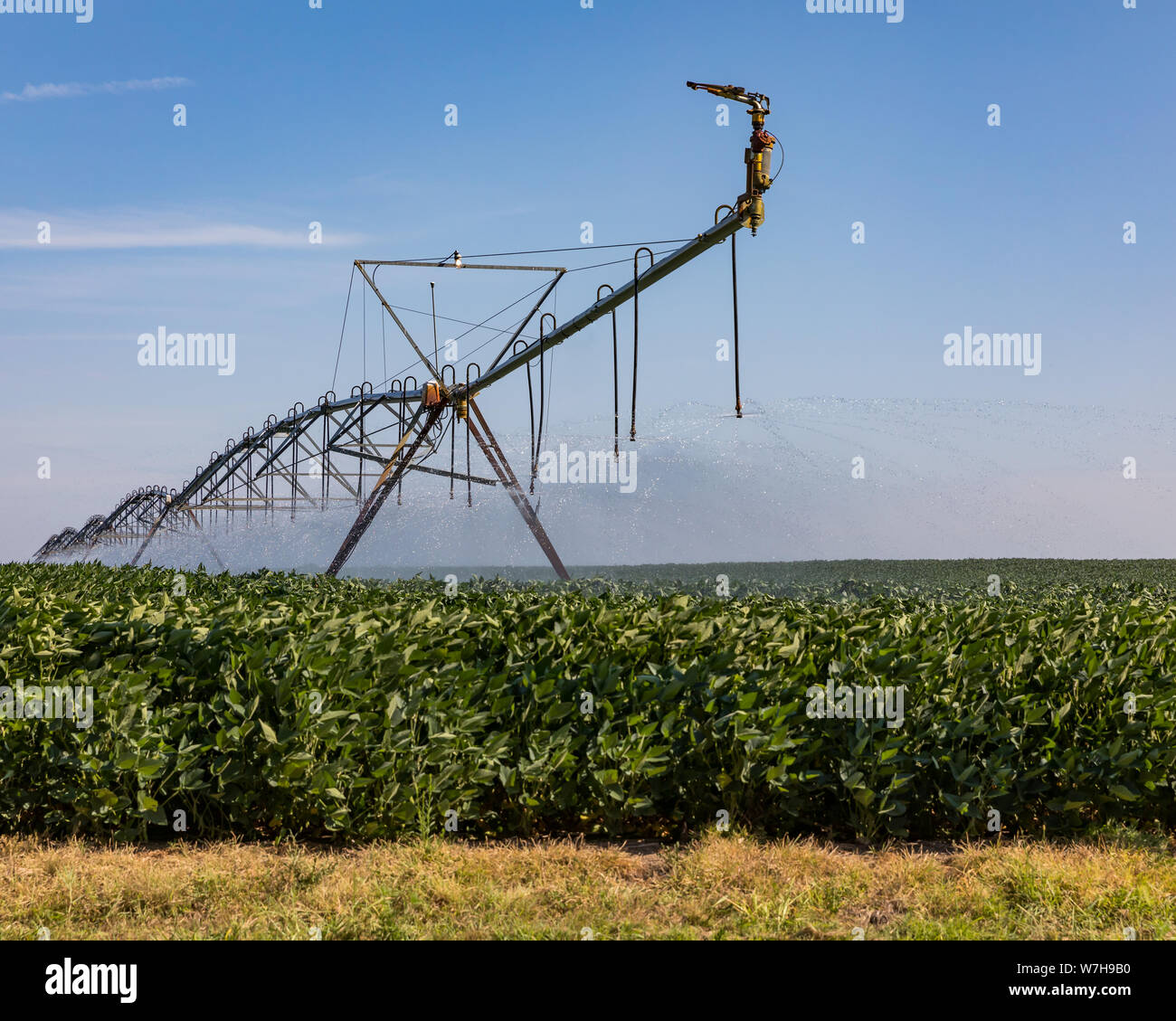 Gros plan du système d'irrigation à pivot central soya arrosage farm field. temps chaud et peu de pluie est en train de créer les conditions de sécheresse dans certaines parties de l'Illinois Banque D'Images
