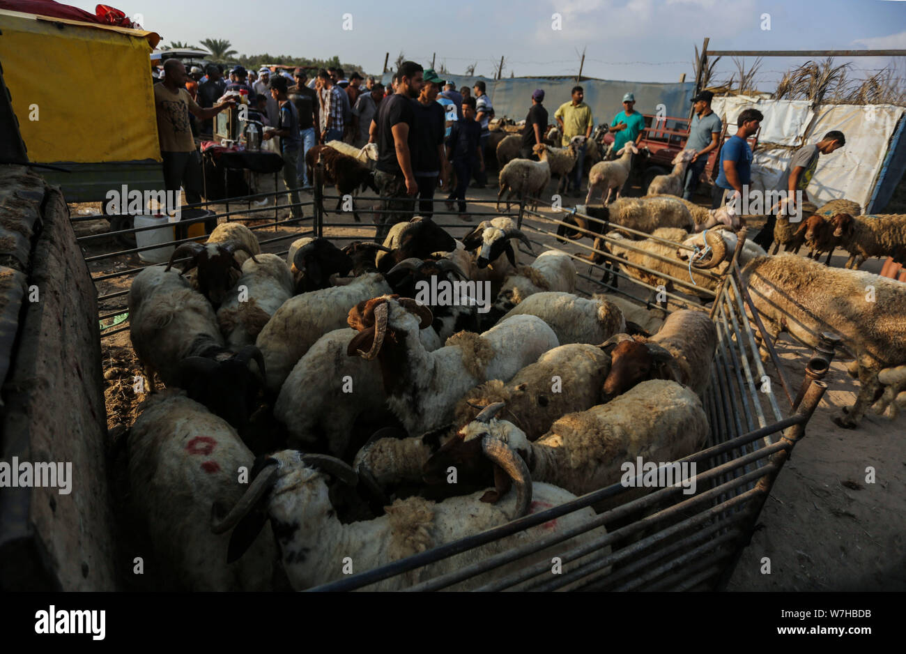 Le camp de Bureij, Gaza, Palestine. 5 Août, 2019. Les Palestiniens se rassemblent dans un marché pour vendre Huda au camp de réfugiés de Bureij. Credit : Yousef Masoud SOPA/Images/ZUMA/Alamy Fil Live News Banque D'Images