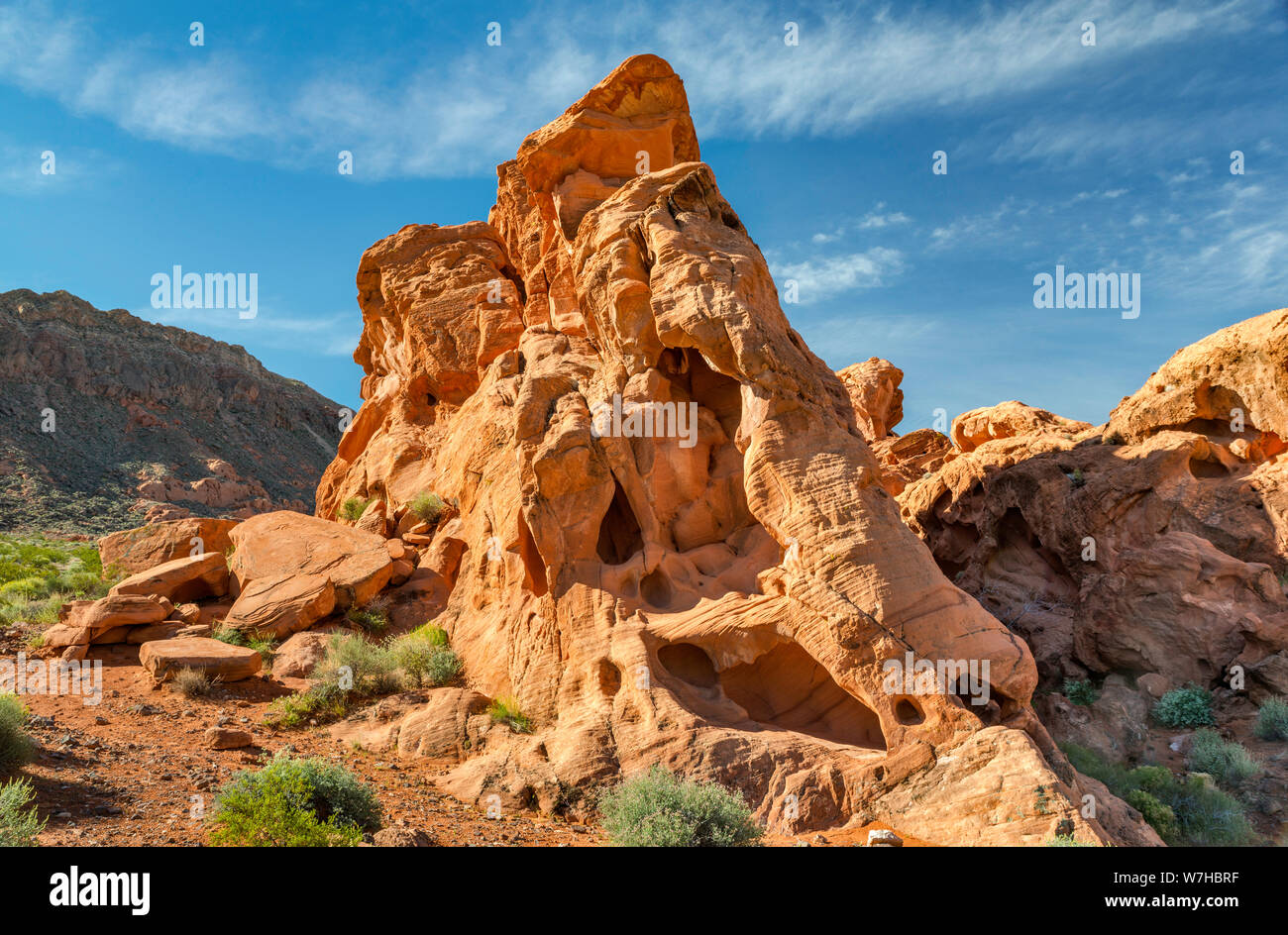 Formations rocheuses de grès à Redstone Trail, région de Northshore Road, région de Lake Mead National Recreation Area, Nevada, États-Unis Banque D'Images