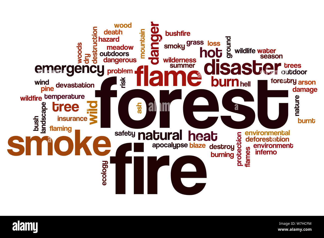 Feu de forêt mot concept cloud Banque D'Images