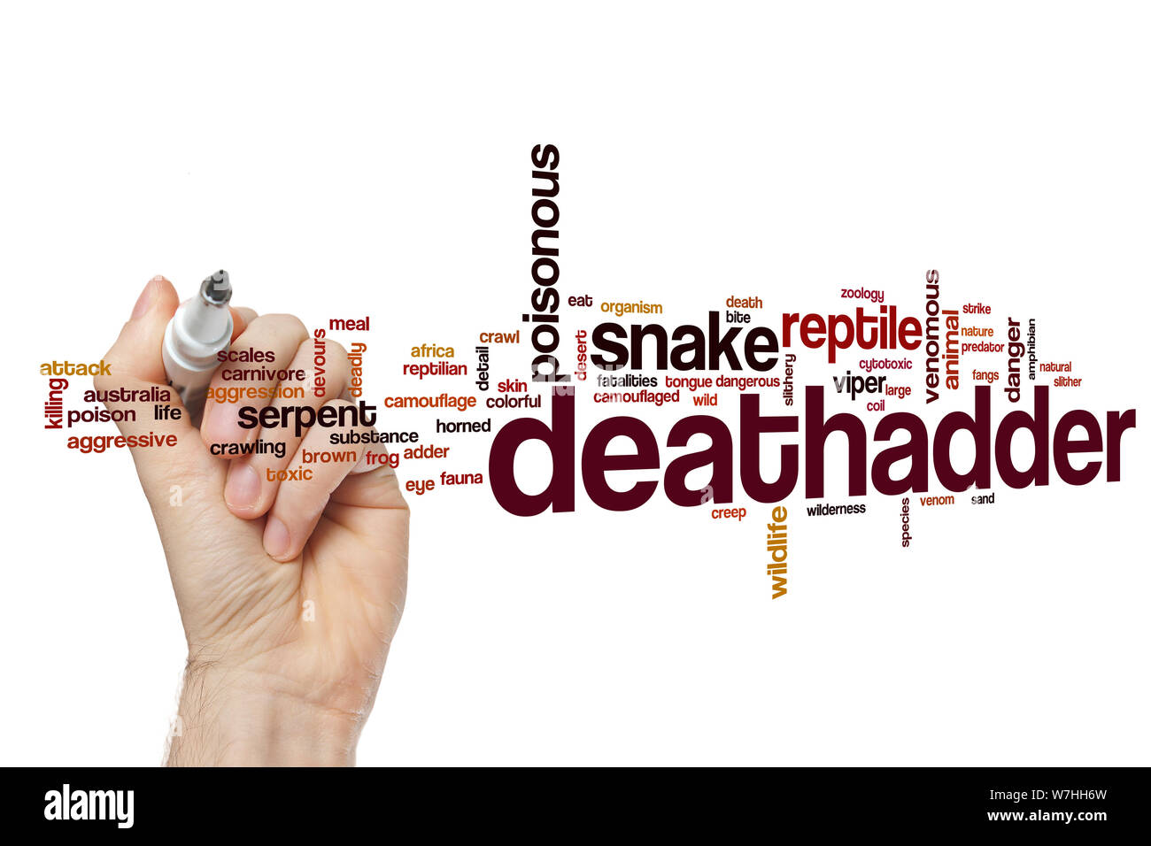 Mot Deathadder concept cloud Banque D'Images