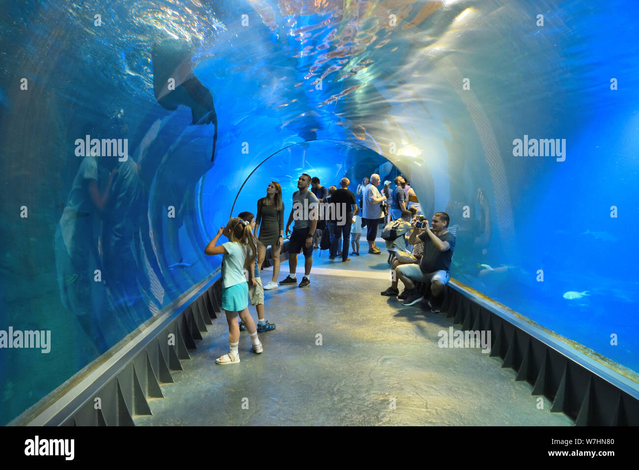 Wroclaw, Pologne - 17 juillet 2019 : personnes visitent le tunnel sous-marin moderne aquarium avec Africarium à Wroclaw. Banque D'Images