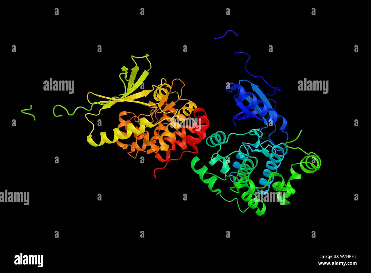 NIMA (jamais dans un gène de la mitose)-related kinase 1, seraient impliqués dans amytrophic la sclérose en plaques latérales. Le rendu 3d. Banque D'Images