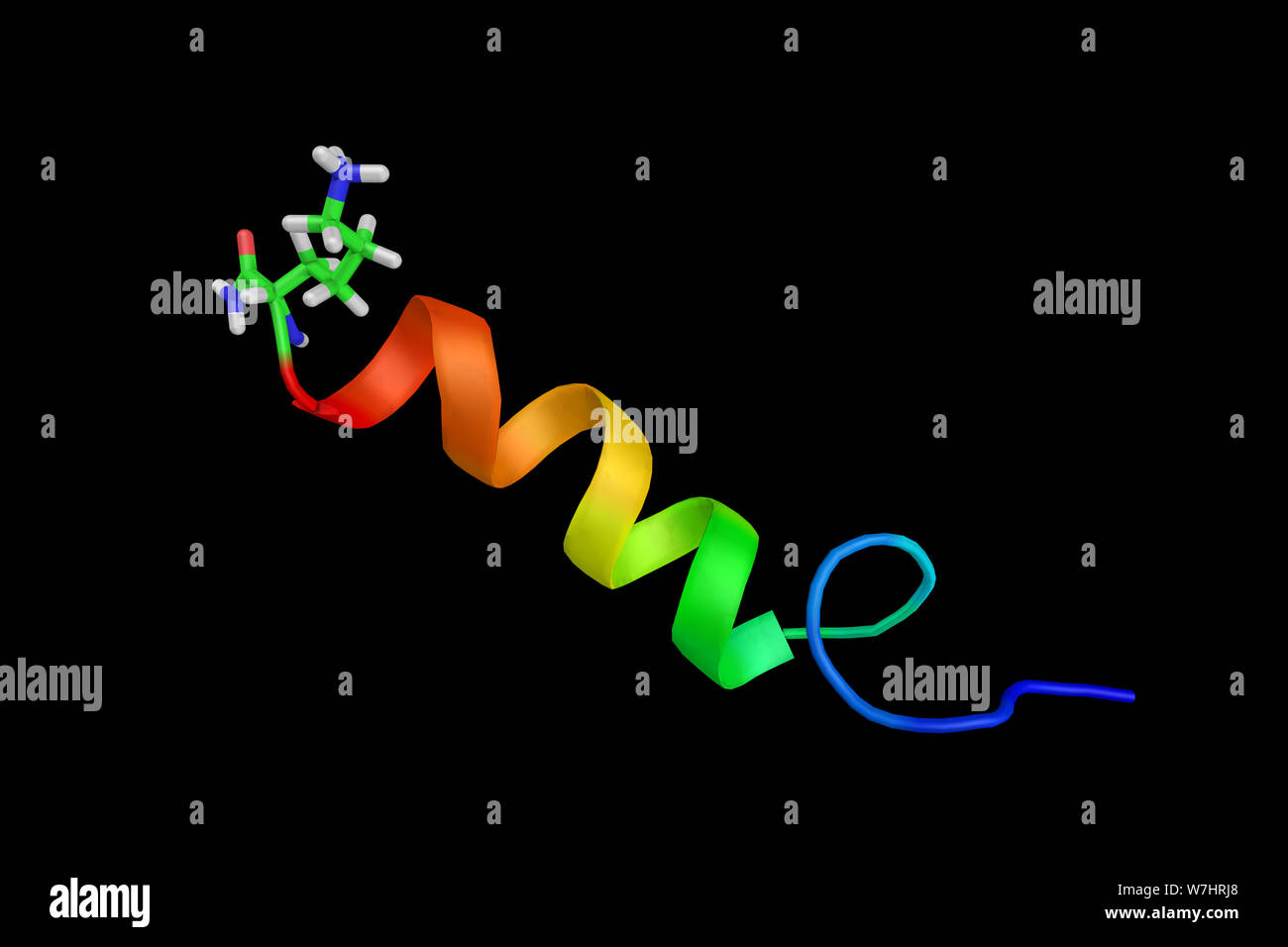 L'activation de l'adénylate cyclase hypophysaire, une protéine qui se lie au récepteur et le peptide intestinal vasoactif à la récepteur PACAP. Rend 3d Banque D'Images