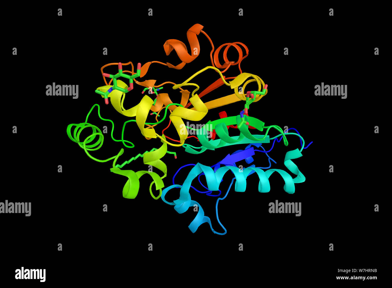 Palmitoyl protein thioestérase, enzyme qui supprime la liaison thioester acyl gras des groupes tels que modifiés de palmitate de résidus de cystéine dans les protéines o Banque D'Images