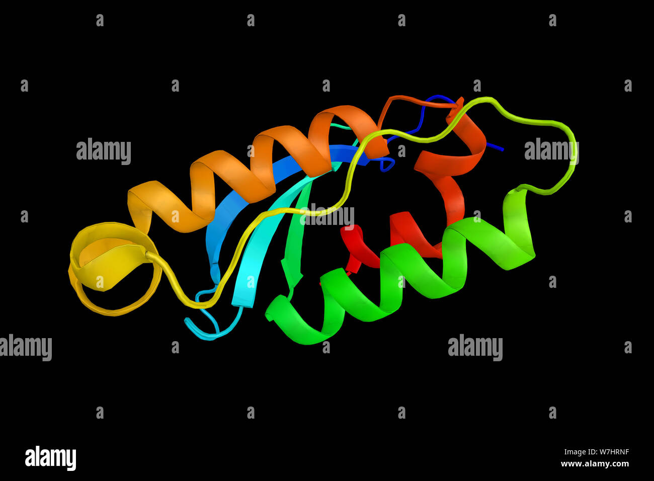 Le phosphatidylinositol-4-phosphate 3-kinase domaine C2-gamma, polypeptide contenant une protéine qui appartient à la phosphoinositide 3-kinase (PI3K) fam Banque D'Images