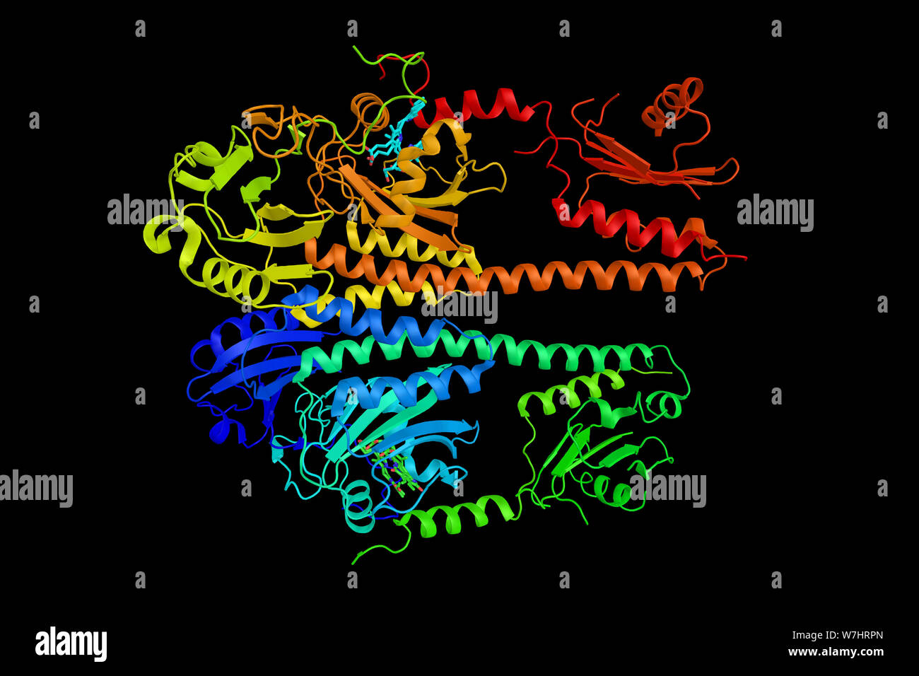 Phytochrome, un photo, un pigment, que les plantes, et certaines bactéries et champignons, utiliser pour détecter la lumière. Sensible à la lumière dans le rouge et rouge lointain regi Banque D'Images