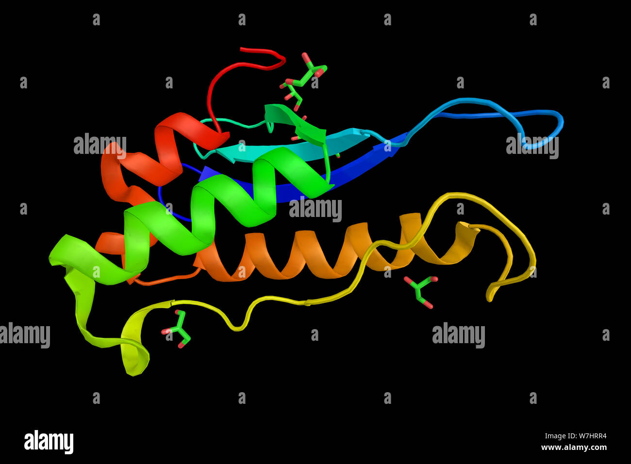 Le phosphatidylinositol-4-phosphate 3-kinase domaine C2-alpha, polypeptide contenant une protéine capable d'être activé par l'insuline et qui peuvent Banque D'Images