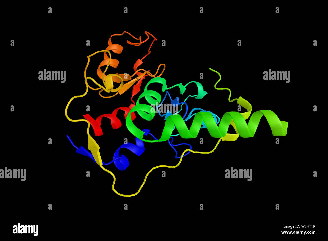 RING2, l'une des protéines PcG. Il a été démontré d'interagir avec, et réprimer l'activité de facteur de transcription, le CP2 (TFCP A2/CP2). Le rendu 3d. Banque D'Images