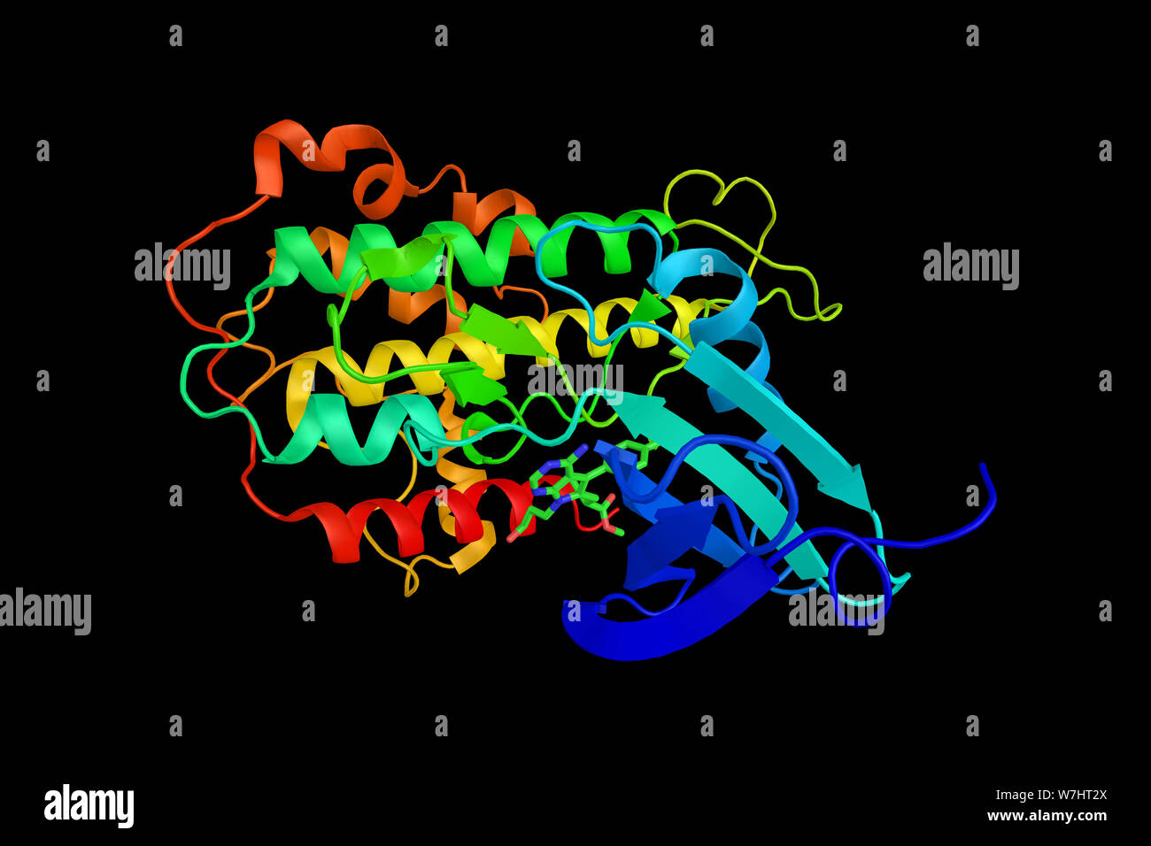 La protéine ribosomique S6 kinase, 90kDa, polypeptide 3, une enzyme impliquée dans le contrôle de la croissance cellulaire et la différenciation. Le rendu 3d. Banque D'Images