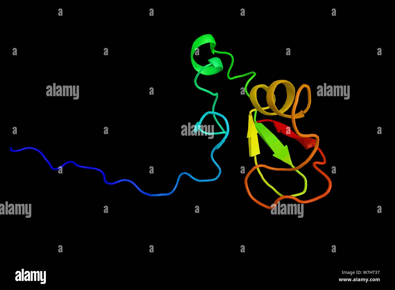 RING-box 2, une protéine très conservée de la protéine l'annulaire. C'est une sous-unité de SKP1-cullin/CDC53-ubiquitine ligases protéine F fort. 3D render Banque D'Images