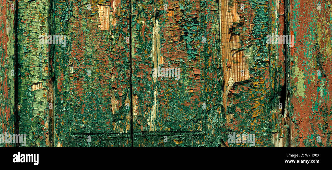 Peinture multicouche. L'écaillage de la peinture sur une surface en bois. La texture de la vieille peinture craquelée. Peinture craquelée sur une surface en bois Banque D'Images