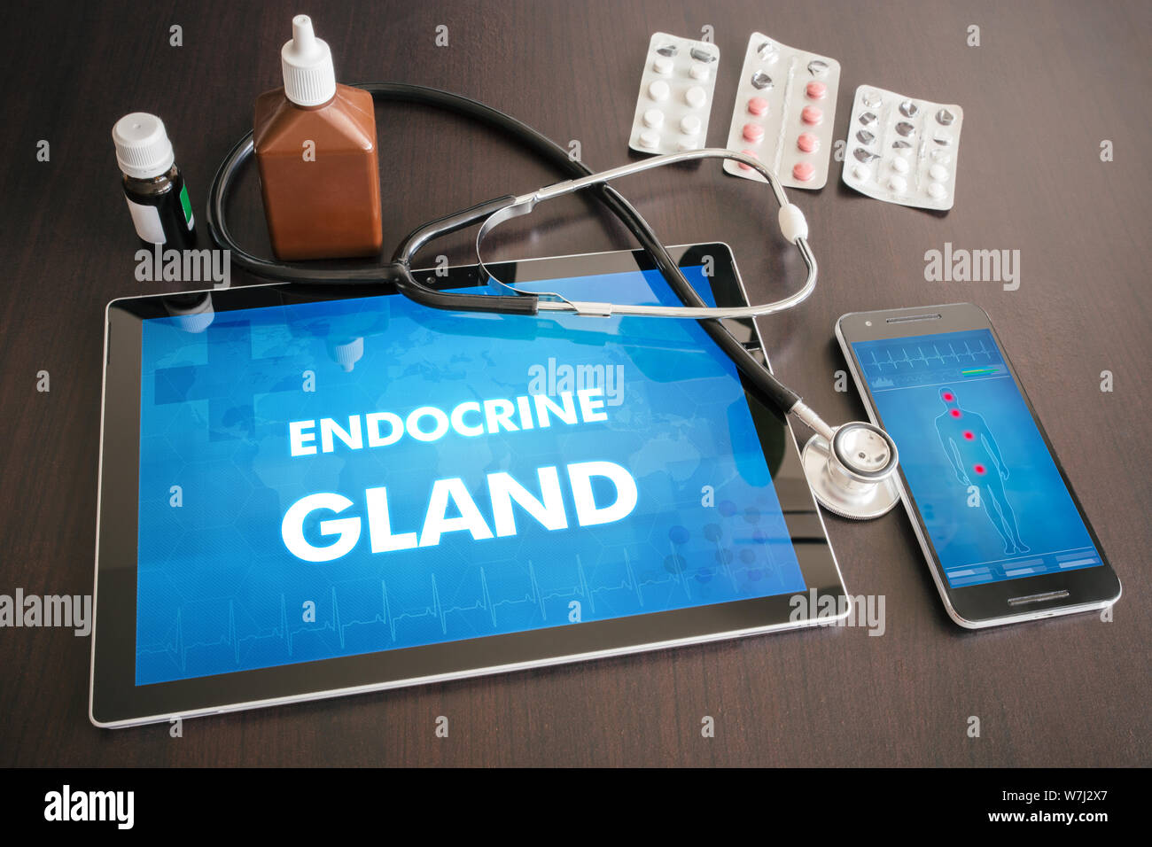 Glande endocrine (maladie endocrinienne) diagnostic medical concept sur écran de tablette avec stéthoscope. Banque D'Images