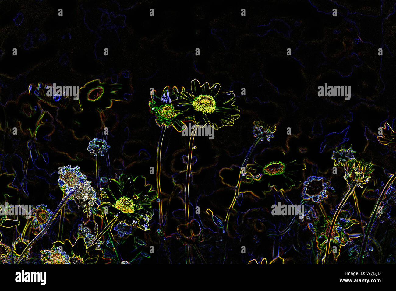 Colorful Abstract Neon psychédélique Fleurs Jewel-Toned sur fond noir. Banque D'Images