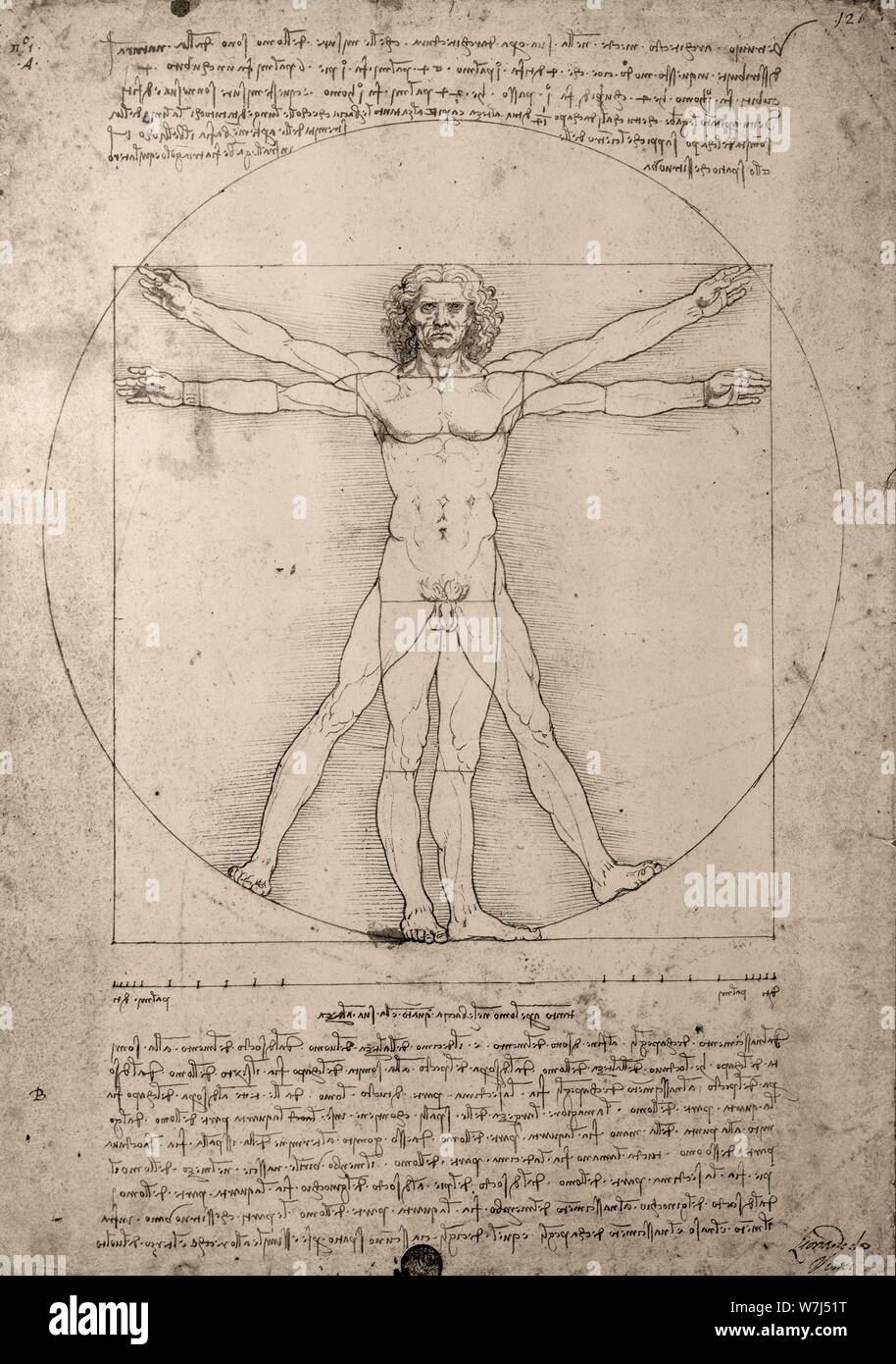 Dessin, Léonard de Vinci, homme de Vitruve, Italie Banque D'Images