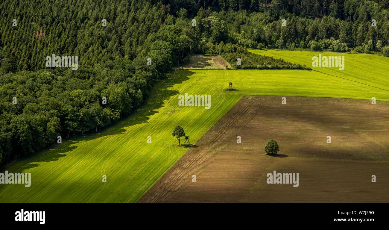 Vue aérienne, champs, forêts et prairies à la forêt d'Arnsberg, Sauerland, Rhénanie du Nord-Westphalie, Allemagne Banque D'Images