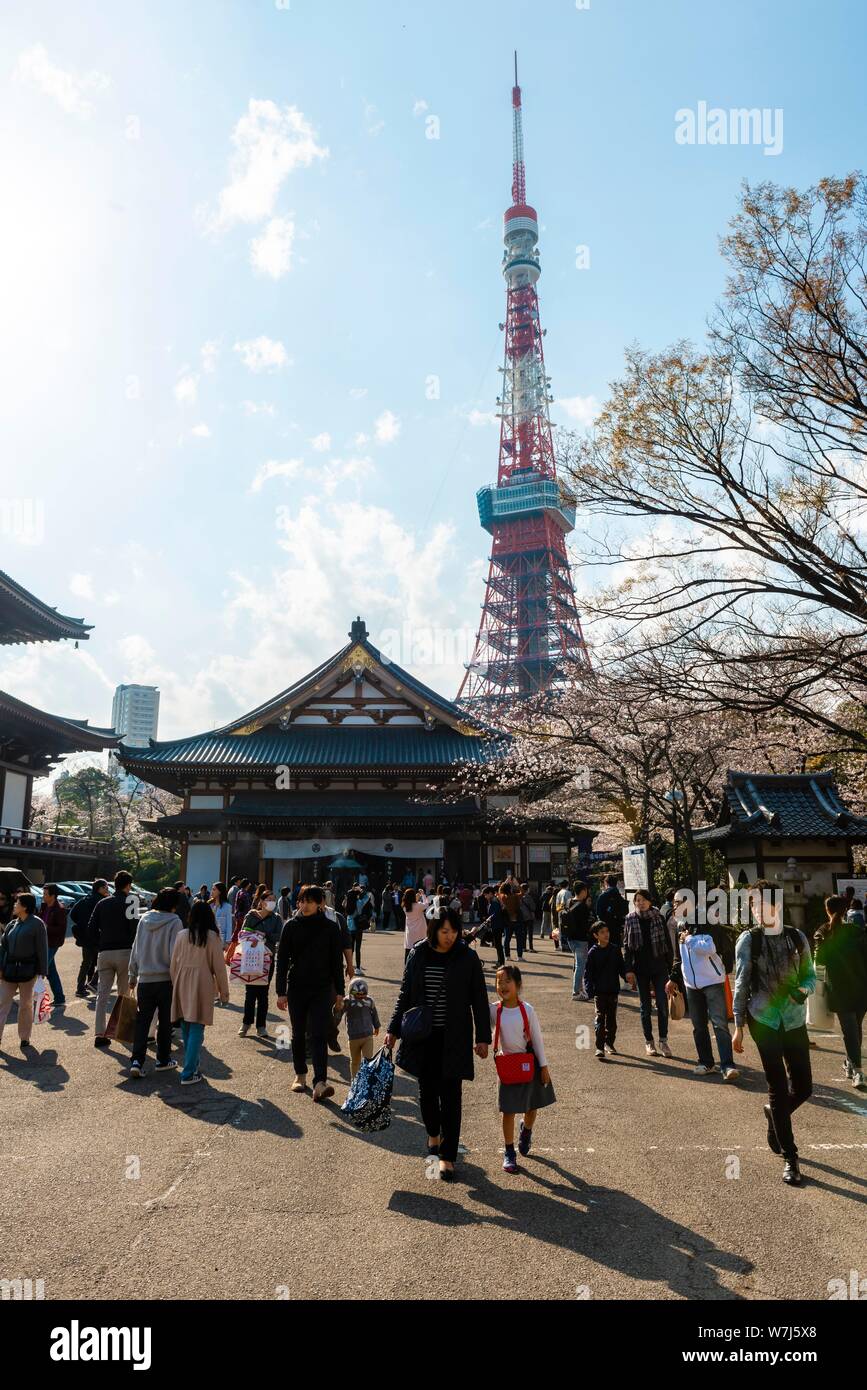 Temple Zojoji, temple bouddhiste, retour Tour de Tokyo, Tokyo, Japon Banque D'Images