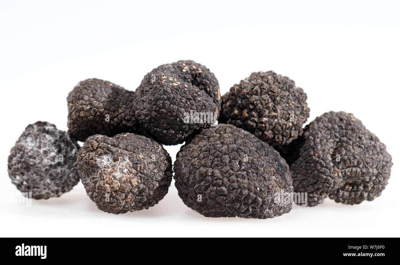 Truffes noires isolé sur un fond blanc. Banque D'Images