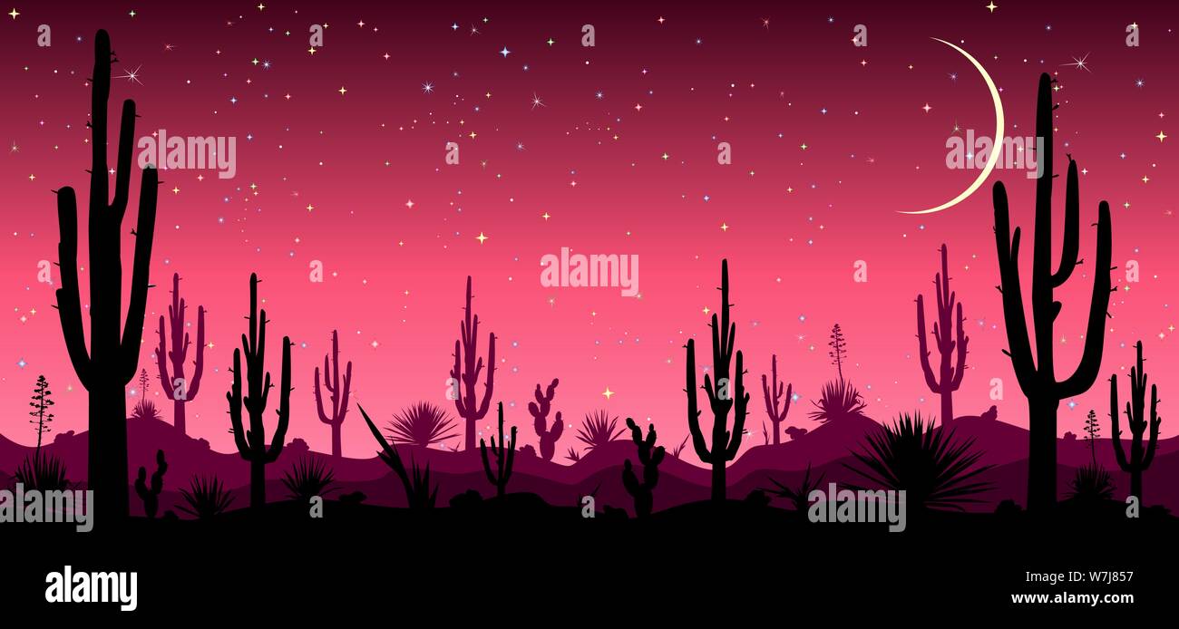 Désert, cactus, étoile de la nuit. Nuit étoilée sur le désert mexicain. Silhouettes de pierres, de cactus et de plantes. Paysage désertique avec des cactus. Désert pierreux. Illustration de Vecteur