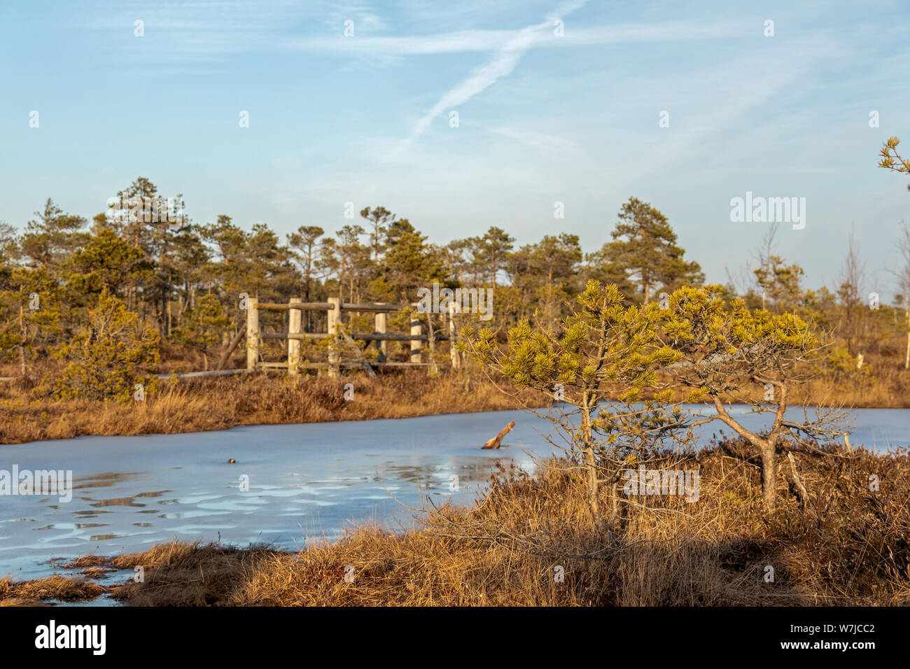 Nature Paysage avec marais glacé frosty avec sol, de la glace sur le lac de marais et la végétation des tourbières pauvres - froid Moor et de couleur d'automne de la flore de la tourbe d'hiver b Banque D'Images